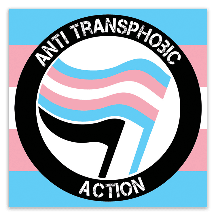 Anti Transphobic Action Stickers image 0