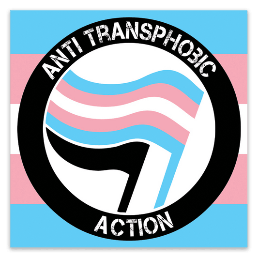 Anti Transphobic Action Stickers image 0
