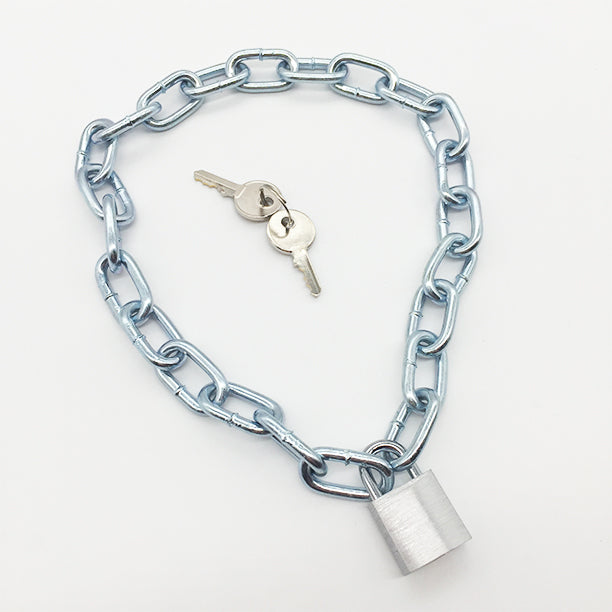 Silver Chain Choker