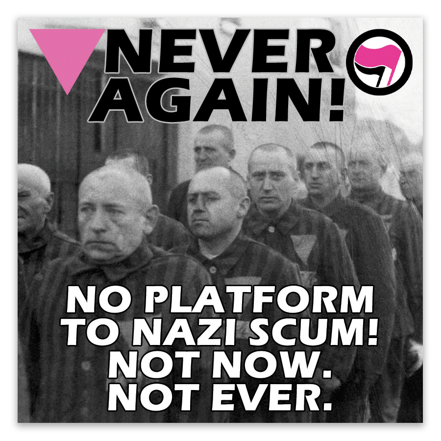 Never Again Pink Triangles Stickers