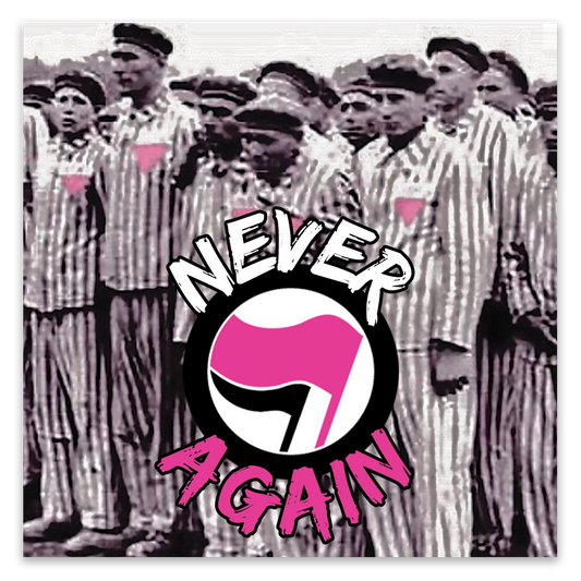 Never Again Stickers