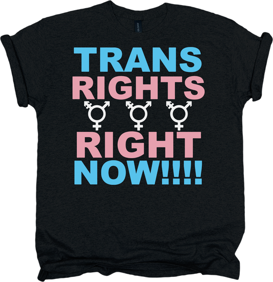 Black t-shirt with 'TRANS RIGHTS RIGHT NOW!!!' text and transgender symbols