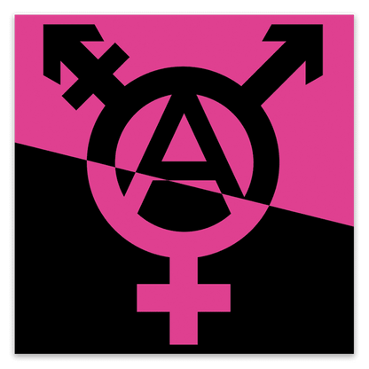 Trans Anarchy Stickers image 0