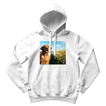 Custom one-off hoodie: white pullover hoodie with a full-size photo print of a happy golden Labrador in a sunny meadow