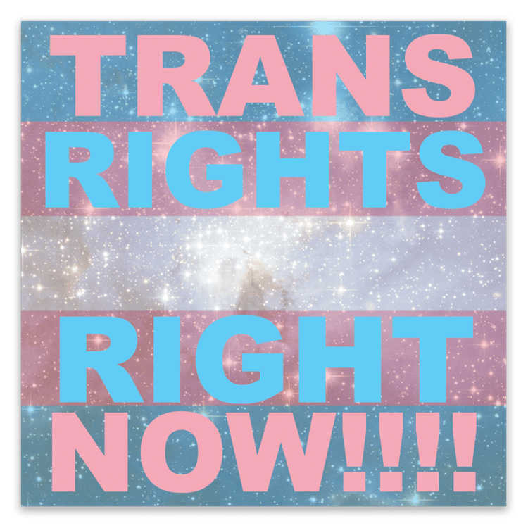 Trans Rights, Right Now Stickers image 0
