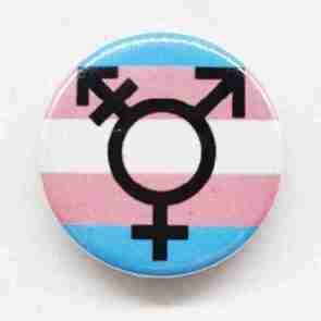 Trans Flag and Symbol Pin Badge