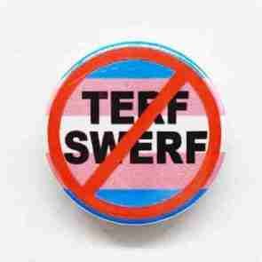 Anti Terf/Swerf - Trans Flag Pin Badge