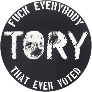 Fuck Everybody Who Voted Tory Stickers