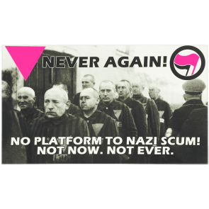 Never Again Pink Triangles Stickers
