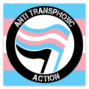 Anti Transphobic Action Stickers