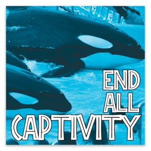 End All Captivity Stickers