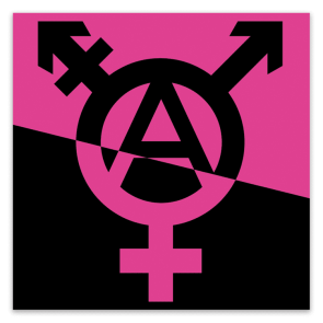 Trans Anarchy Stickers